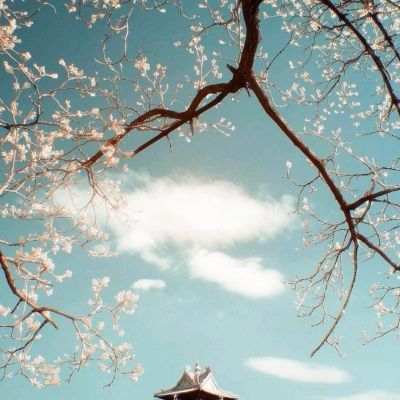 兰空voez下载安装